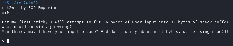 checksec